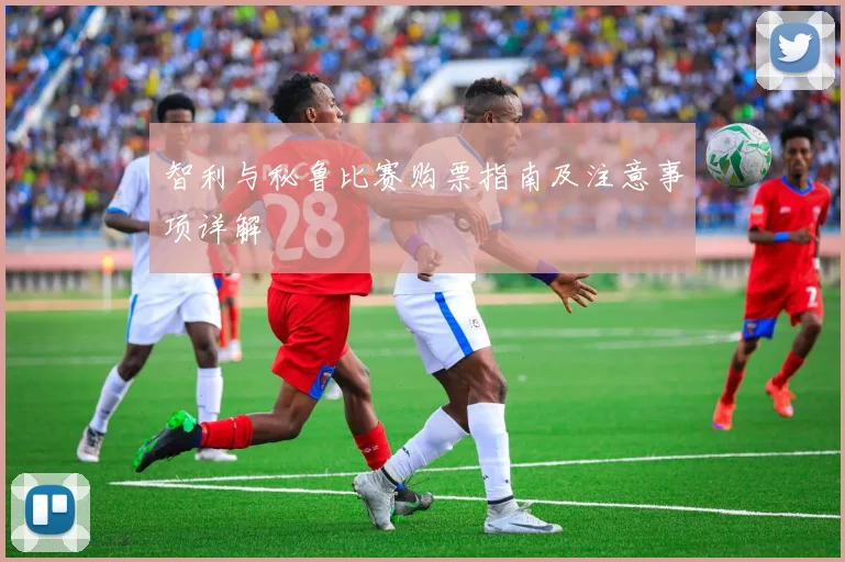 智利与秘鲁比赛购票指南及注意事项详解