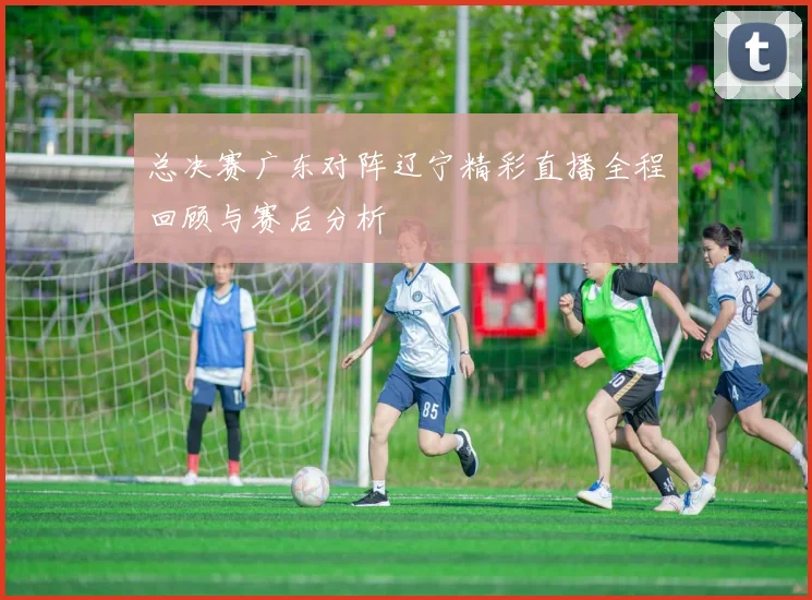 总决赛广东对阵辽宁精彩直播全程回顾与赛后分析