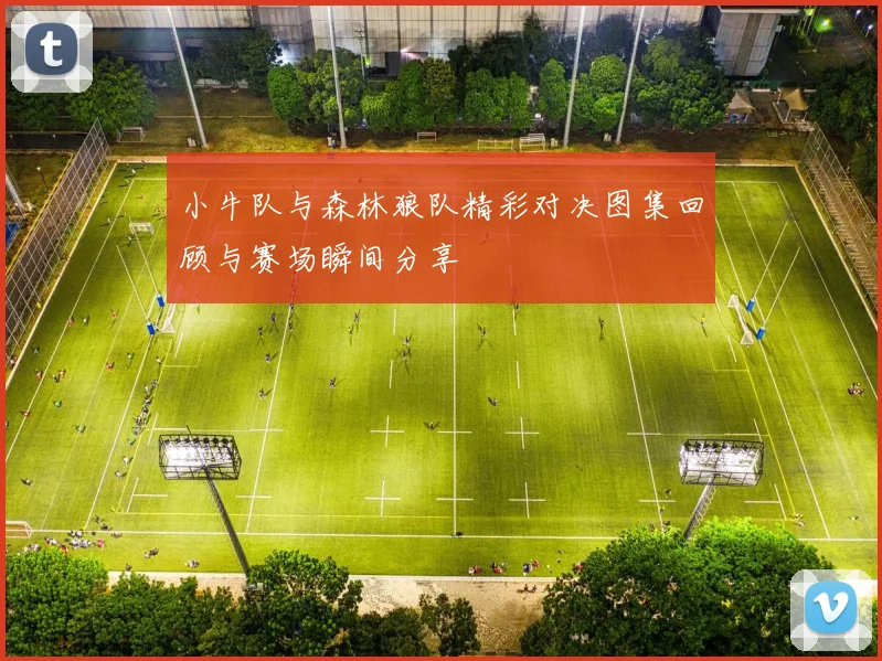 小牛队与森林狼队精彩对决图集回顾与赛场瞬间分享