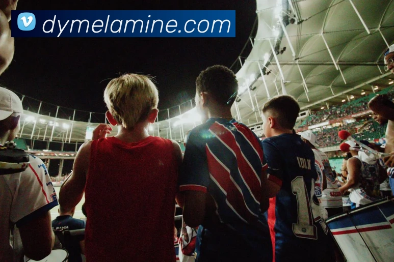 vsport体育平台生态图