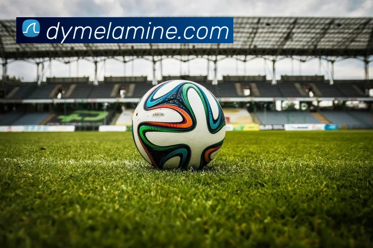 vsport体育APP 封面图